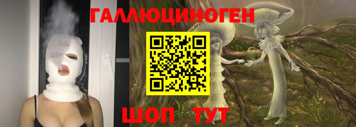 Казань  Галлюциногенные грибы MAGIC MUSHROOMS  купить наркотик  Вход с VPN 